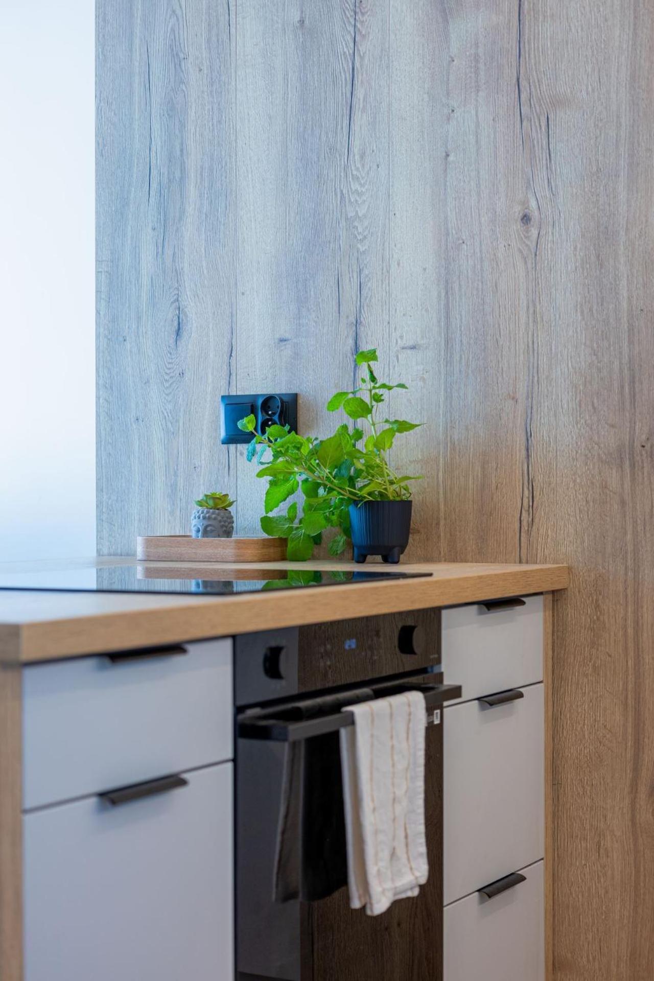 Vip Apartament Kopisto Centrum Ряшів Екстер'єр фото